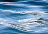 the flow fund circle